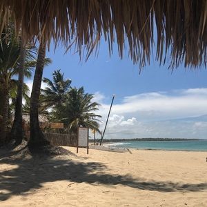 Meet your Posher, Eva